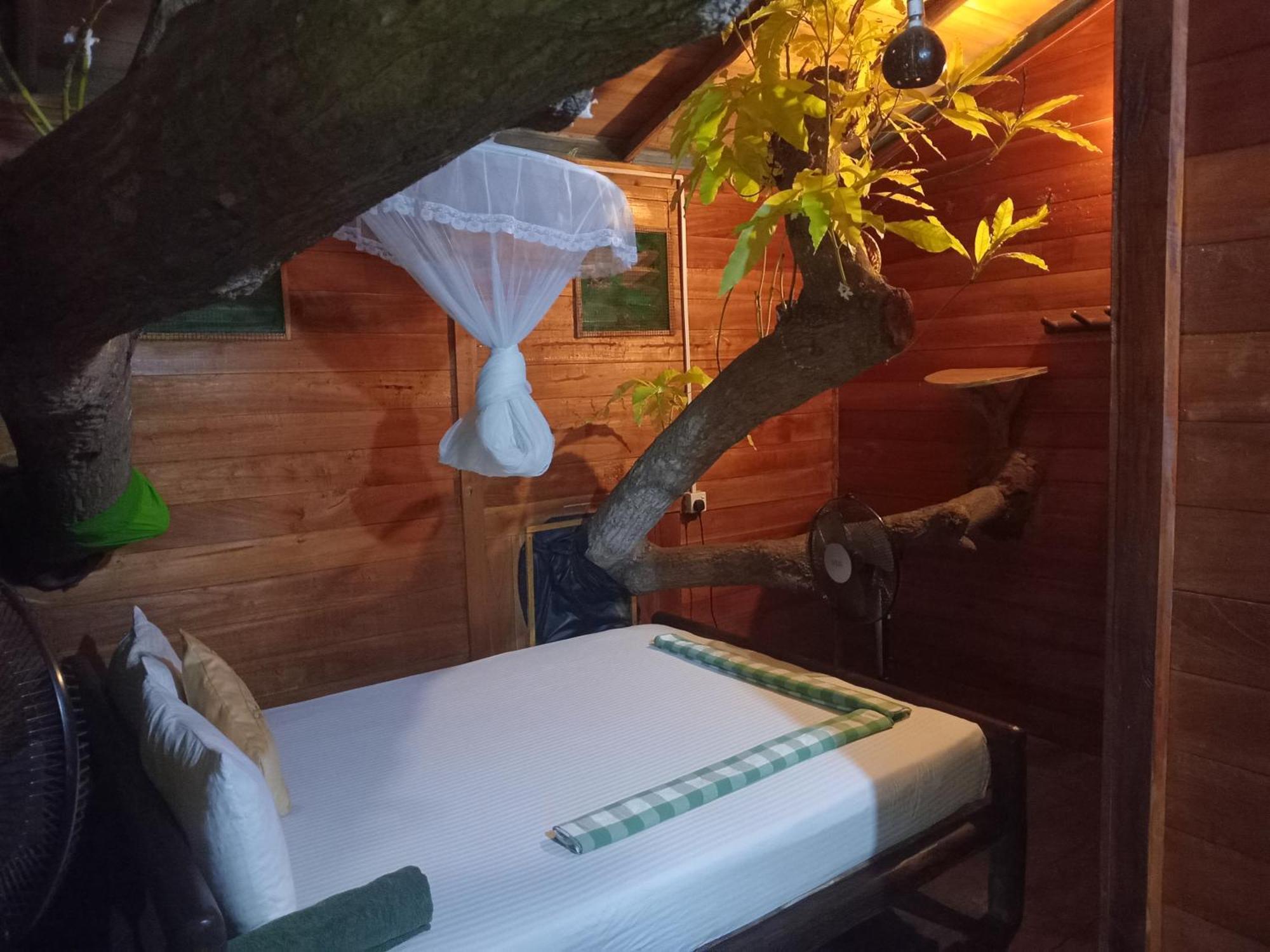 Green Park Safari House & Eco Tree House Удавалаве Экстерьер фото