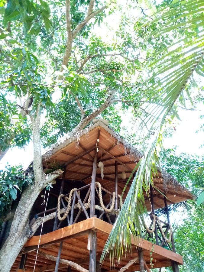 Green Park Safari House & Eco Tree House Удавалаве Экстерьер фото